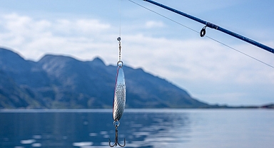 Ekim Ayında Tüketilmesi Gereken Balıkları Biliyor Musunuz?