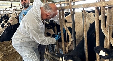 Hastalıktan Ari İşletmelere Yönelik Çalışmalar Devam Ediyor