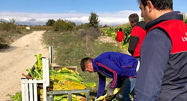 Kırklareli İl Tarım ve Orman Müdürlüğü ‘nden Vize ve Pınarhisar’da Denetim
