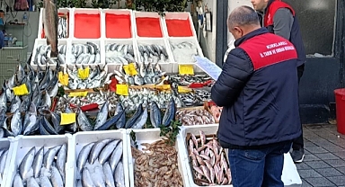 Kırklareli'nde Su Ürünleri Denetimleri Sürüyor