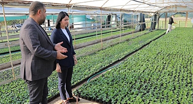 PARKLAR ÇİÇEK AÇACAK