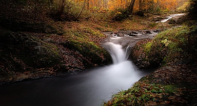 Sonbaharda Doğa Fotoğrafçılığı: Gençler Arasında Yükselen Bir Trend