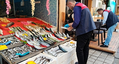 Sürdürülebilir Su Ürünleri Denetimleri