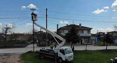TREDAŞ’tan Yaban Hayatı Koruyan Proje: Leylek Yuvalarının Güvenliği Sağlanıyor