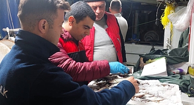 Vize İlçesinde Su Ürünleri Denetimleri