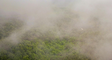 Babaeski'de Yarın Sisli Bir Gün Yaşanacak