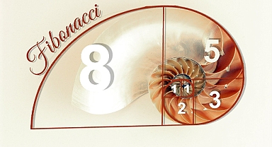 Dünya Fibonacci Günü Nedir? İşte Tüm Detaylar