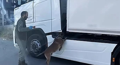 Edirne'de, park halindeki TIR'da 24 kilo kokain ele geçirildi
