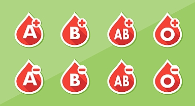 Kan Grubunuzu Bilin, Hayata Bağlı Kalın