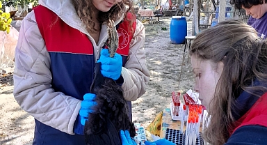 Kanatlı Hayvan Hastalıklarıyla Mücadele Ediyor