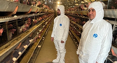 Kanatlı İşletmelerinde Avian İnfluenza Denetimleri Yapılıyor