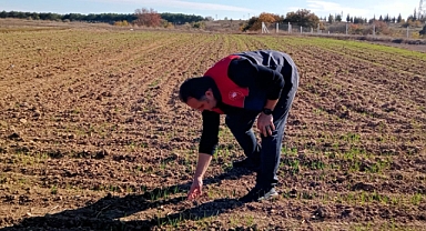 Kırklareli İl Tarım ve Orman Müdürlüğü'nden Tarımsal Denetimler ve Altyapı Yatırımları