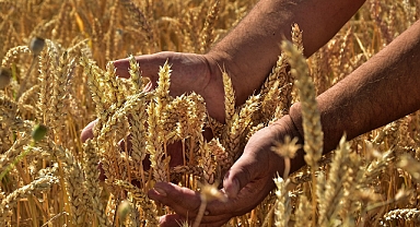 Kırklareli İl Tarım ve Orman Müdürlüğü’nden Üreticilere ÇKS Başvurusu Uyarısı