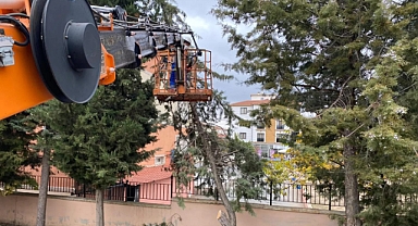 Lüleburgaz Belediyesi, Kent Genelinde Budama ve Ot Temizliği Çalışmalarını Sürdürüyor