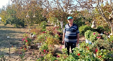 Lüleburgaz'da Balkabağı Hasadı Başladı