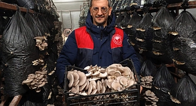 Lüleburgaz'da Mantar Üretimi Kontrol Edildi