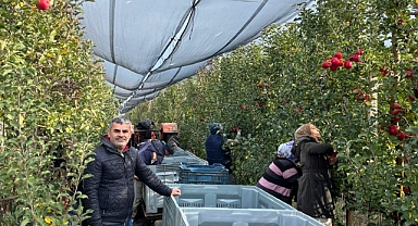 Lüleburgaz’da Meyve Hasadı Başladı: İl Tarım ve Orman Müdürlüğü’nden Teknik Bilgilendirme