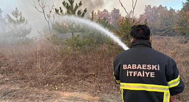 Orman Yangınına İtfaiye Ekipleri Hızla Müdahale Etti