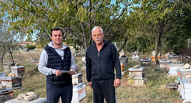 Pınarhisar'da Arılı Kovan Tespitleri Başladı