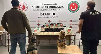 Sabiha Gökçen, Hamzabeyli ve Kapıköy'de 43 milyon liralık uyuşturucu ele geçirdi