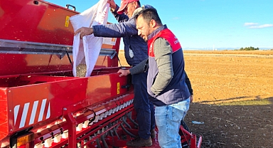 Tohumluk Üretim Sertifikasyonu ve Tarımsal Demonstrasyon Çalışmaları