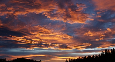 1 Aralık 2024 Pazar Günlük Burç Yorumları: Bugün Sizi Neler Bekliyor?