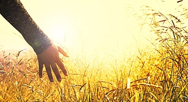 10 Aralık Dünya İnsan Hakları Günü: Adalet ve Eşitlik İçin Küresel Bir Çağrı