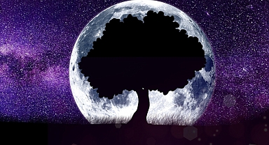 5 Aralık 2024 Perşembe Günlük Burç Yorumları: Bugün Sizi Neler Bekliyor?