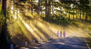 5 Aralık Dünya Kadın Hakları Günü: Eşitlik ve Hakların Kutlandığı Özel Bir Gün