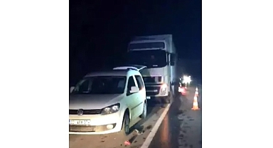 Arızalanan TIR'ını tamir etmeye çalışan Polonyalı şoför, TIR'ın çarpmasıyla öldü