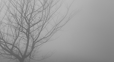 Babaeski'de 5 Aralık 2024 Hava Durumu: Puslu Bir Gün Sizi Bekliyor