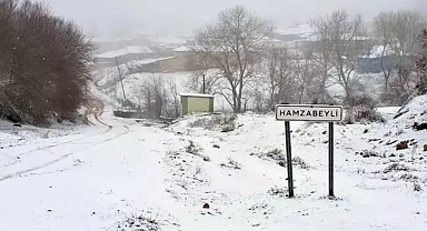 Edirne'nin sınır köyleri kar yağışıyla beyaza büründü