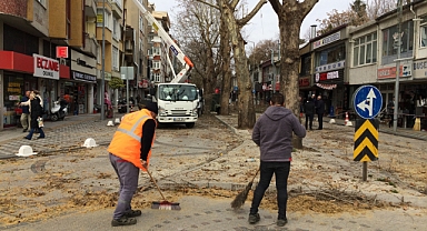 Hastane Caddesi’nde Çevre Düzenlemesi: Kırklareli Belediyesi Ağaç Budama ve Aydınlatma Bakımına Odaklandı
