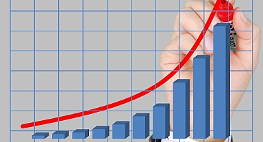 Kasım Ayı Enflasyon Rakamları Açıklandı: İşte Detaylar ve Kira Artış Oranı