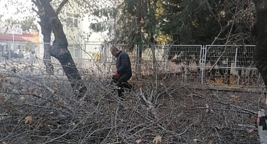 Kırklareli Belediyesi’nden İstiklal Caddesi’nde Ağaç Budama Çalışması