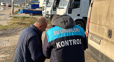 Kırklareli'nde Hamsi Avı ve Diğer Balık Türleri İçin Kota Denetimleri