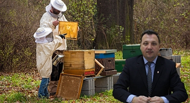 TarımCebimde Uygulaması Güncellendi: Arıcılık Modülü Eklendi
