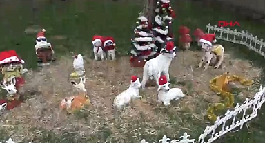 Tekirdağ'da çocukların 'Noel ablası', her yıl kapı kapı gezip hediye dağıtıyor