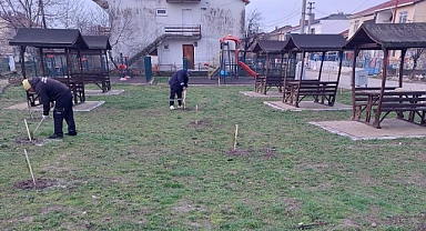 Alpullu Belediyesi, Parklara Fidan Dikimi Çalışmalarına Devam Ediyor
