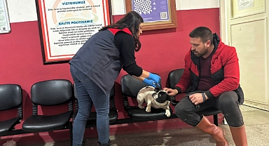 Babaeski’de Mikroçip Uygulaması Başladı: Kedi, Köpek ve Gelinciklerin Kimliklendirilmesi