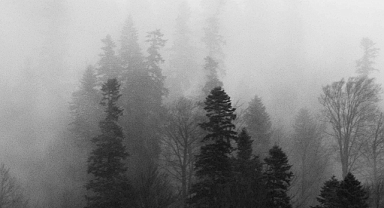 Babaeski’de Yarın Sisli Hava Etkisini Gösterecek!