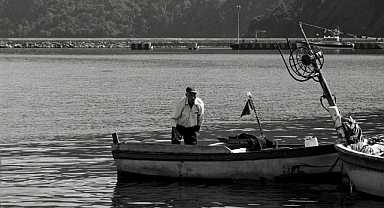 Balıkçılara Önemli Uyarı: Dil ve Pisi Balığı Avcılığına Yasak Başladı