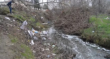 Balıkların öldüğü Saranlı Deresi'nde kimyasal maddeye rastlanmadı