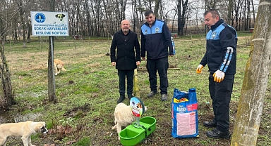 Büyükkarıştıran Belediyesi'nden Sokak Hayvanlarına Destek
