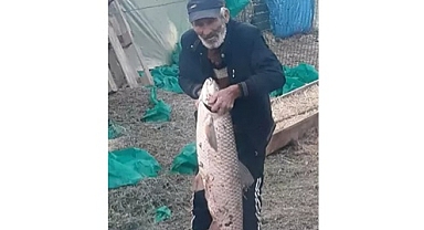 Edirne'de 13 kilo ağırlığında sazan balığı yakalandı