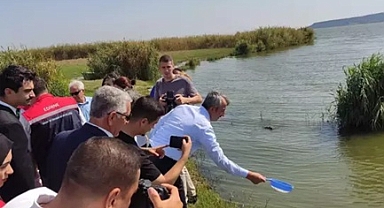 Edirne'de 2024 yılında 10 milyon sazan balığı yavrusu üretildi