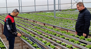 Kırklareli İl Tarım ve Orman Müdürlüğü, Eskitaşlı Köyünde Sera Kontrollerine Devam Ediyor