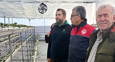 Kırklareli İl Tarım ve Orman Müdürlüğü, Lüleburgaz'da Çilek Üretim Seralarını Ziyaret Etti