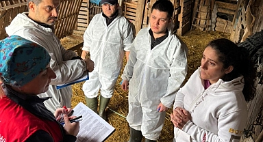 Kırklareli İl Tarım ve Orman Müdürlüğü'nden Brucella Survey Çalışmaları