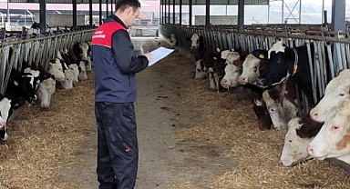 Kırklareli İl Tarım ve Orman Müdürlüğü'nden Hayvancılık İşletmeleri Denetimi
